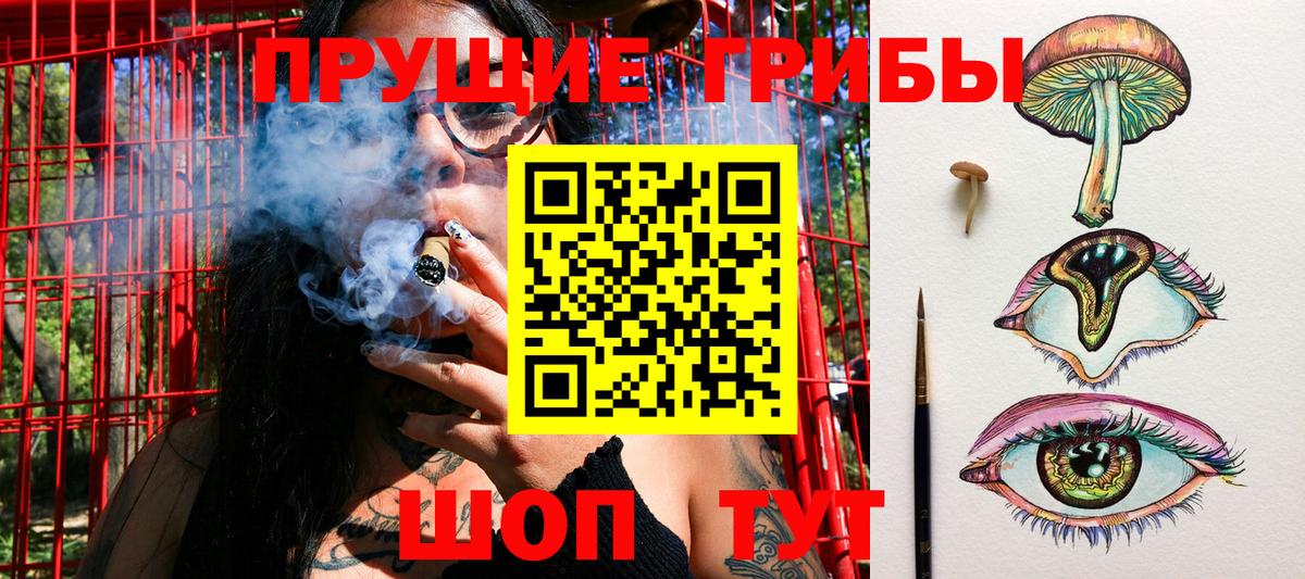 Галлюциногенные грибы Cubensis Шарыпово